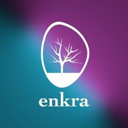 Grupo Enkra